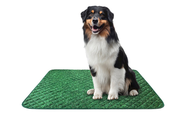 Reusable Dog Pee Pads