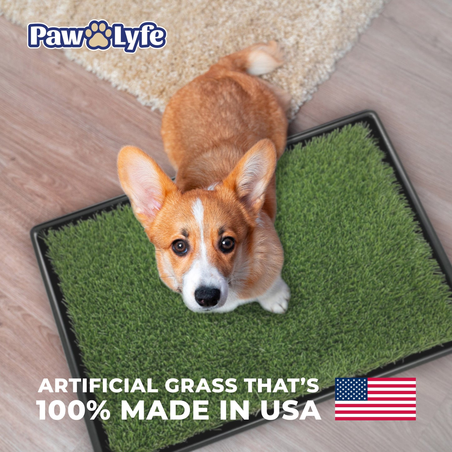 Potty Lawn 20"x25" Artificial Grass Tray